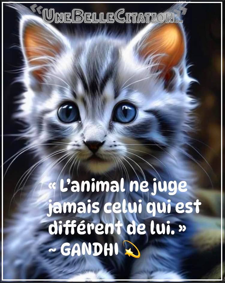 « L'animal ne juge jamais celui qui est différent de lui. » - GANDHI ...