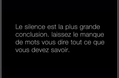 « Le silence est la plus grande conclusion. Laissez le manque de mots vous dire tout ce que vous devez savoir. »