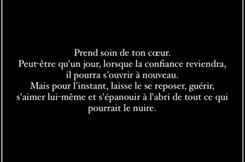 « Prend soin de ton cœur. Peut-être qu'un jour, lorsque la confiance reviendra, il pourra s'ouvrir à nouveau. Mais pour l'instant, laisse le se reposer, guérir, s'aimer lui-même et s'épanouir à l'abri de tout ce qui pourrait le nuire. »